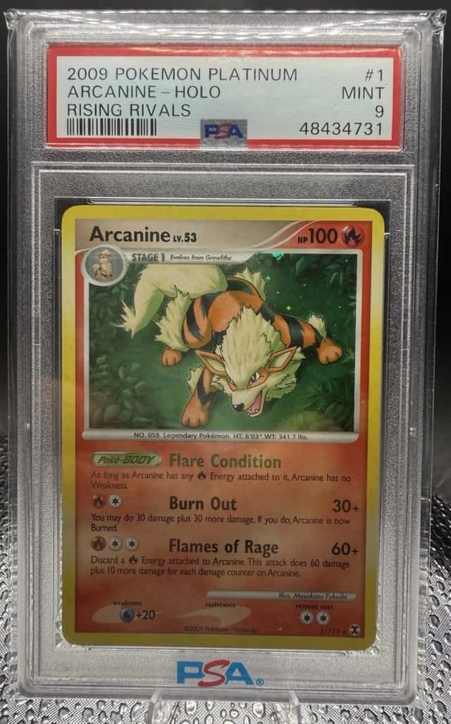 Arcanine
