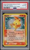 Torchic