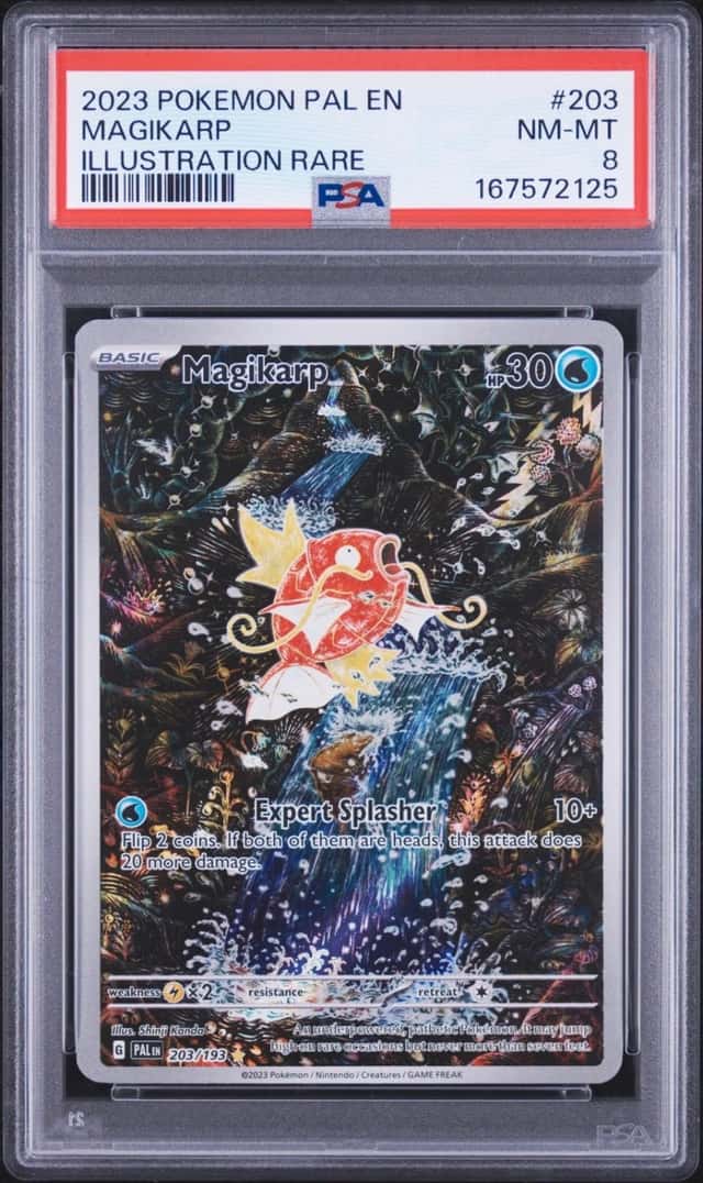 2023 POKEMON PAL EN-PALDEA EVOLVED ILLUSTRATION RARE #203 MAGIKARP PSA 8