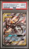 Pikachu & Zekrom Gx