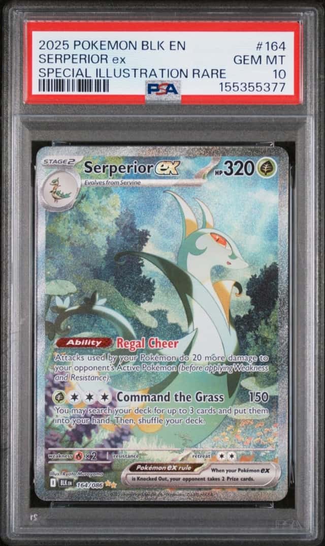 2025 POKEMON BLK EN-BLACK BOLT SPECIAL ILLUSTRATION RARE SERPERIOR EX PSA 10