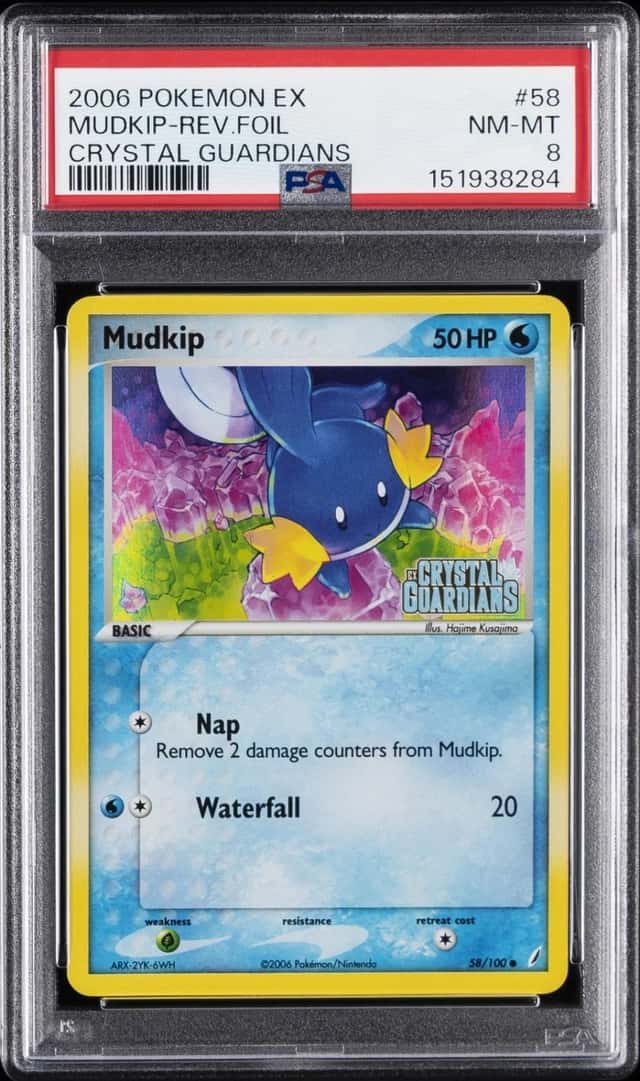 Mudkip