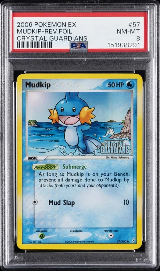 Mudkip