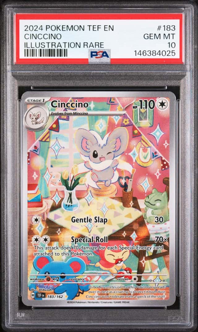 Cinccino