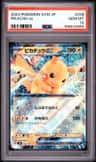 Pikachu Ex