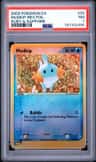 Mudkip