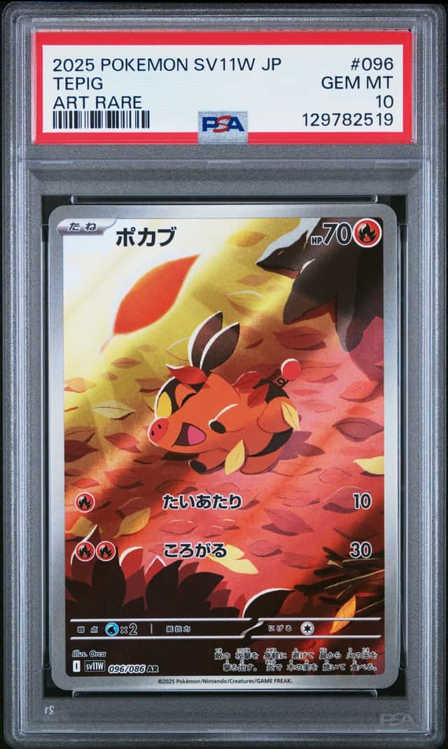Tepig