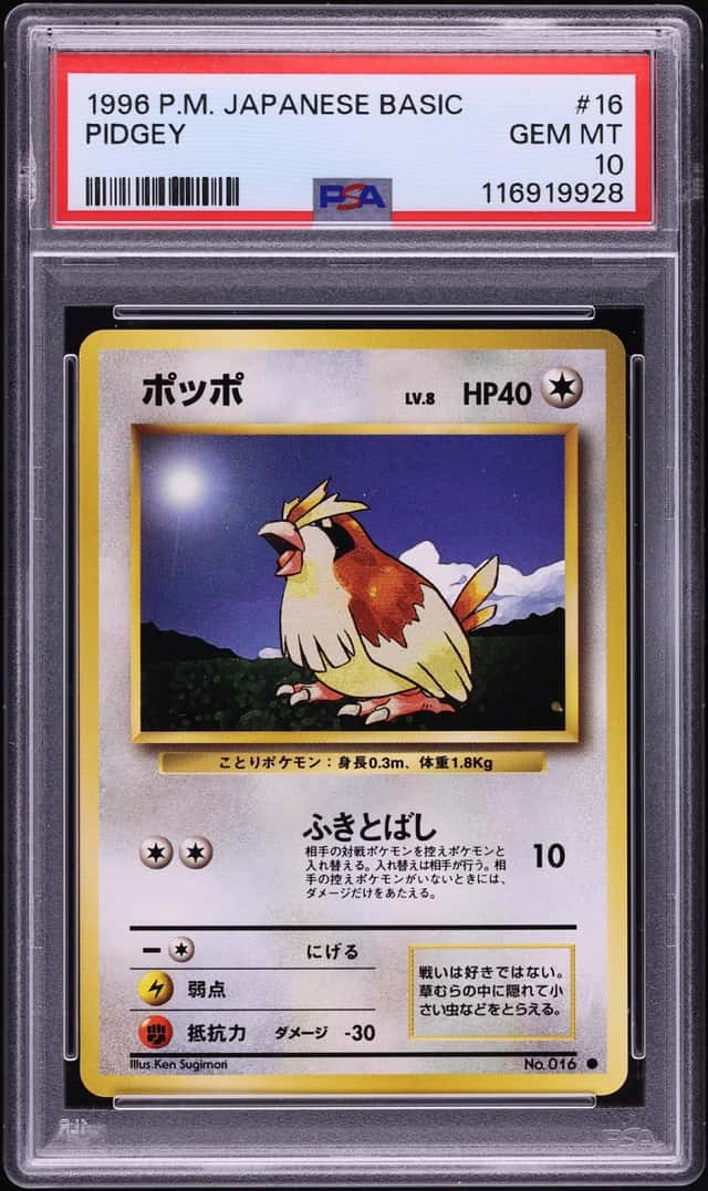 Pidgey