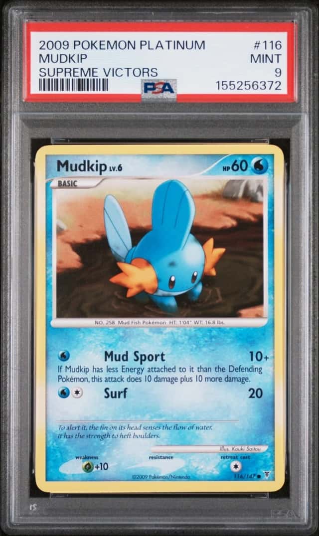 Mudkip
