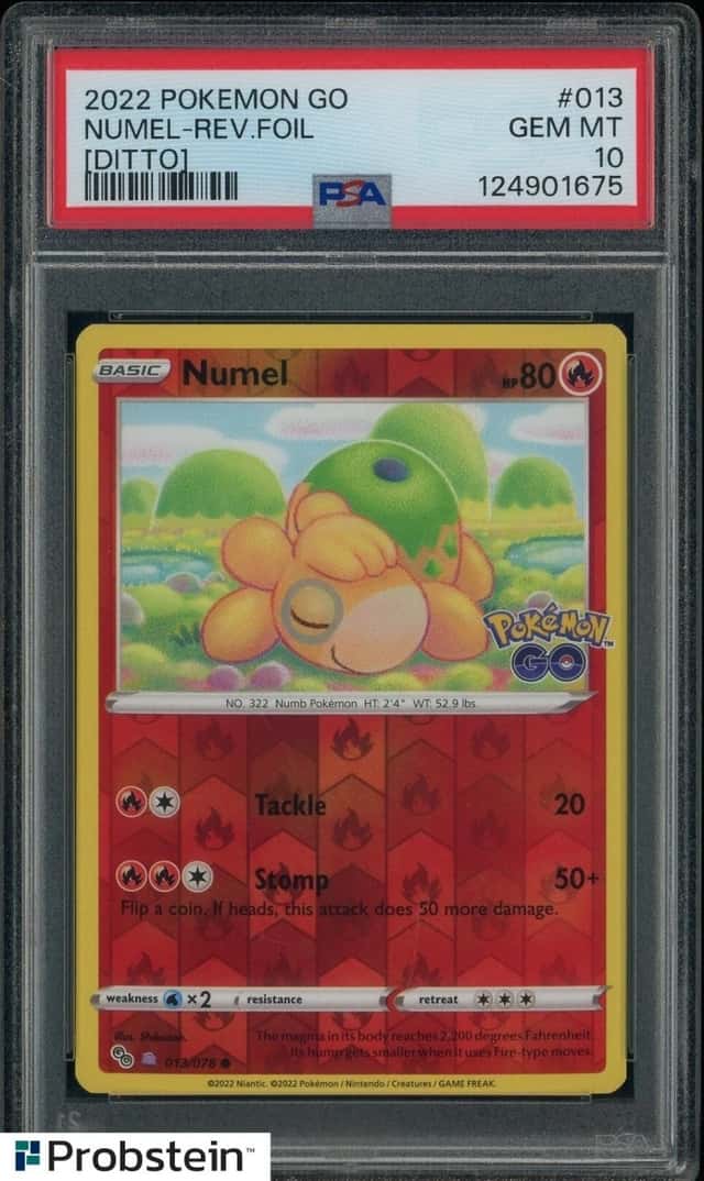 Numel (Ditto)