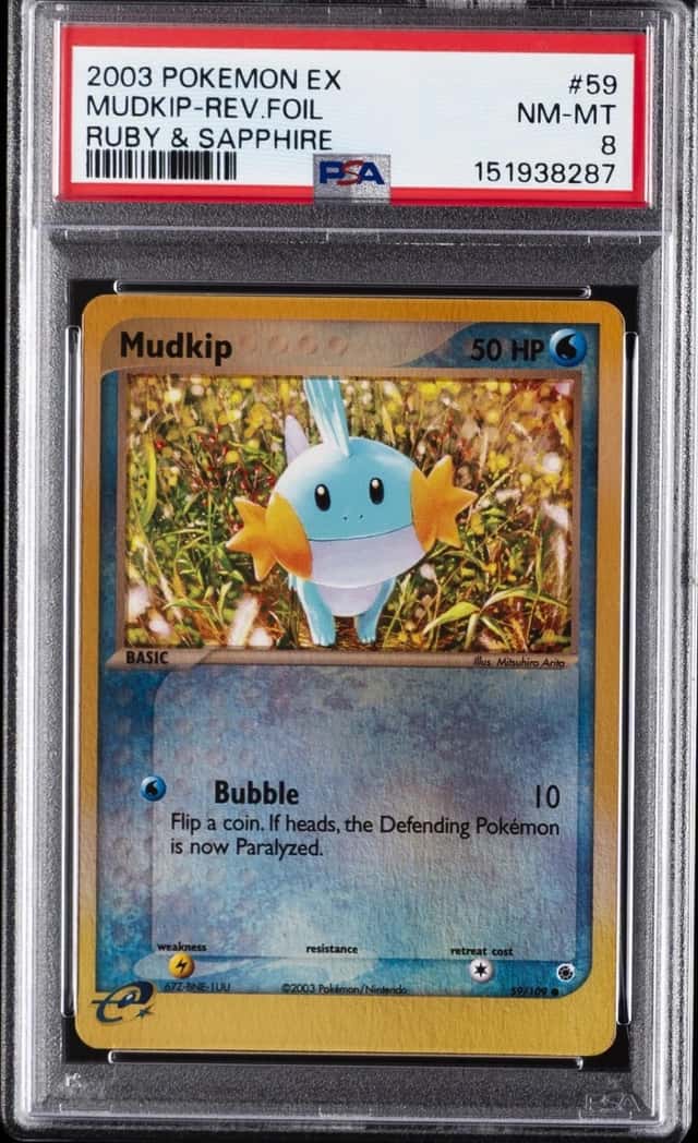 Mudkip
