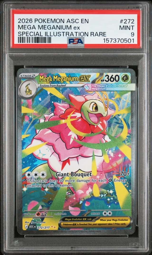 MEGA MEGANIUM ex