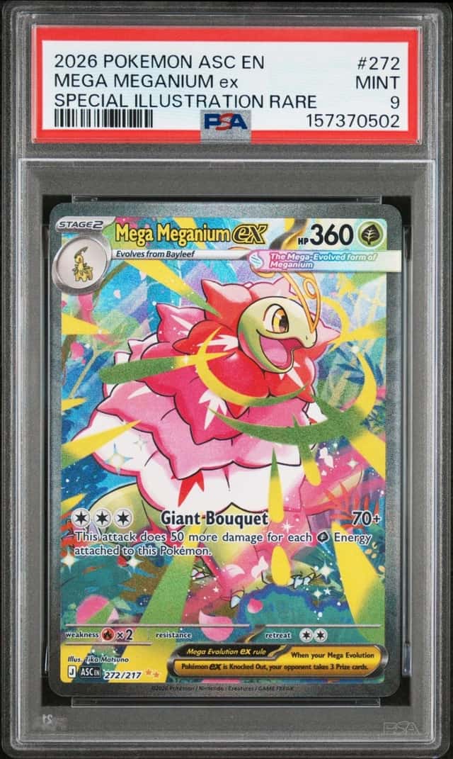 MEGA MEGANIUM ex