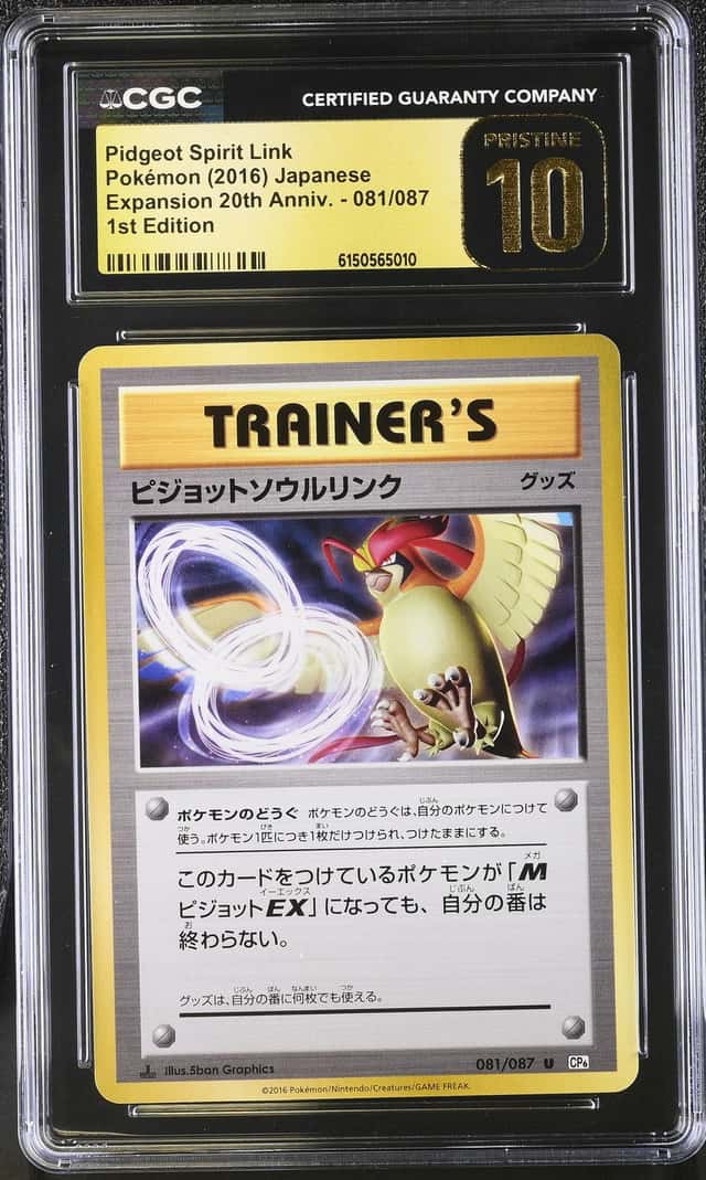 Pidgeot Spirit Link