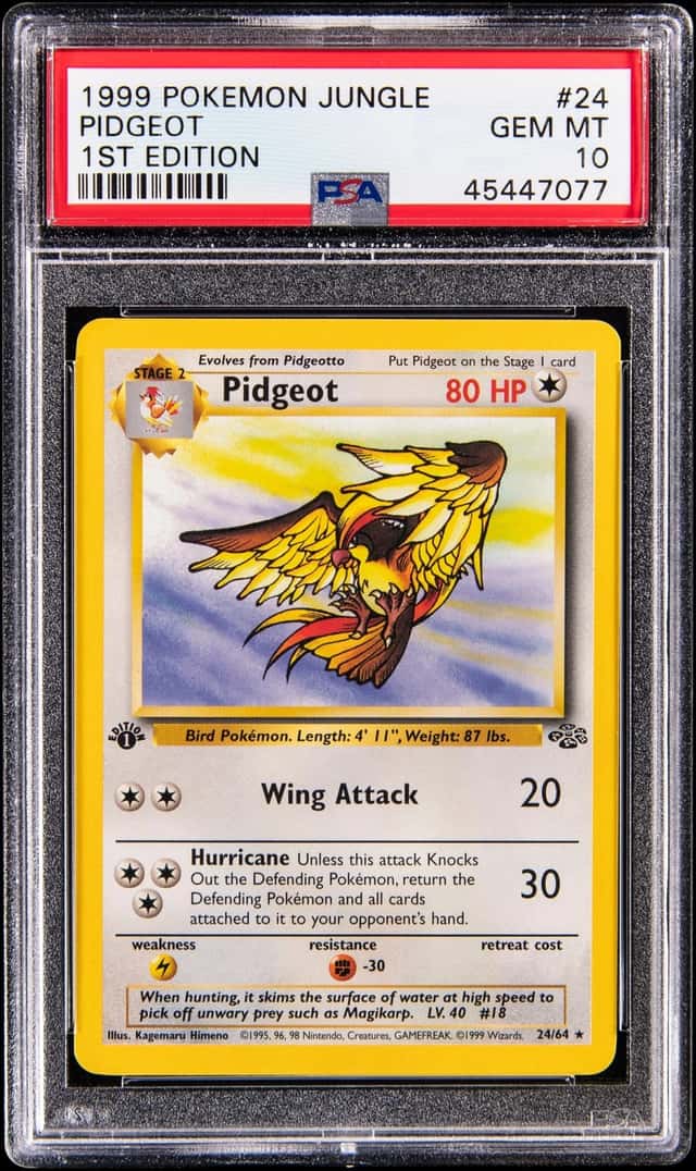 Pidgeot