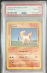 Ponyta