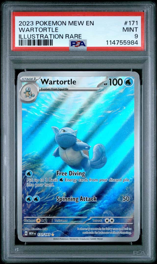 Wartortle