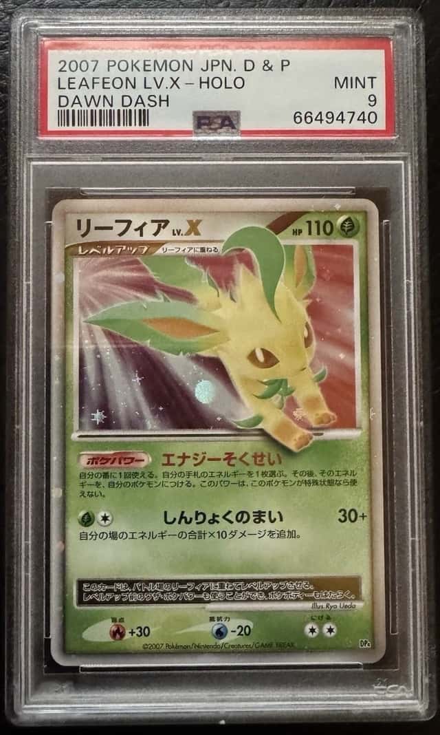 Leafeon Lv X