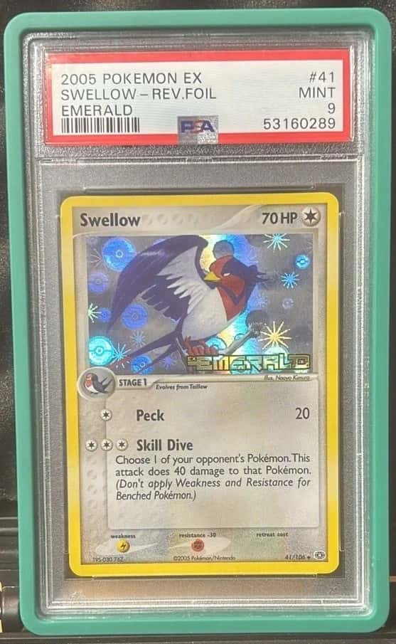 Swellow