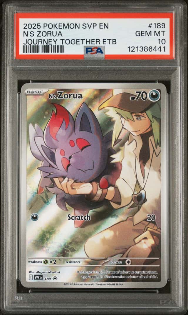 N's Zorua
