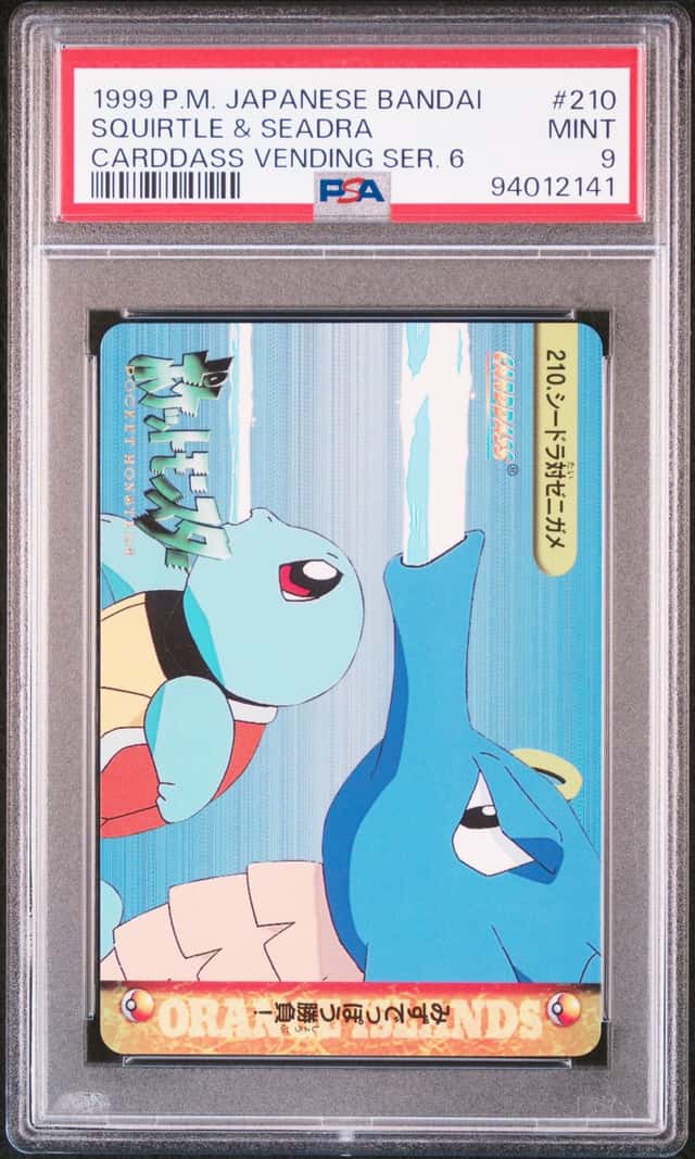 Squirtle & Seadra