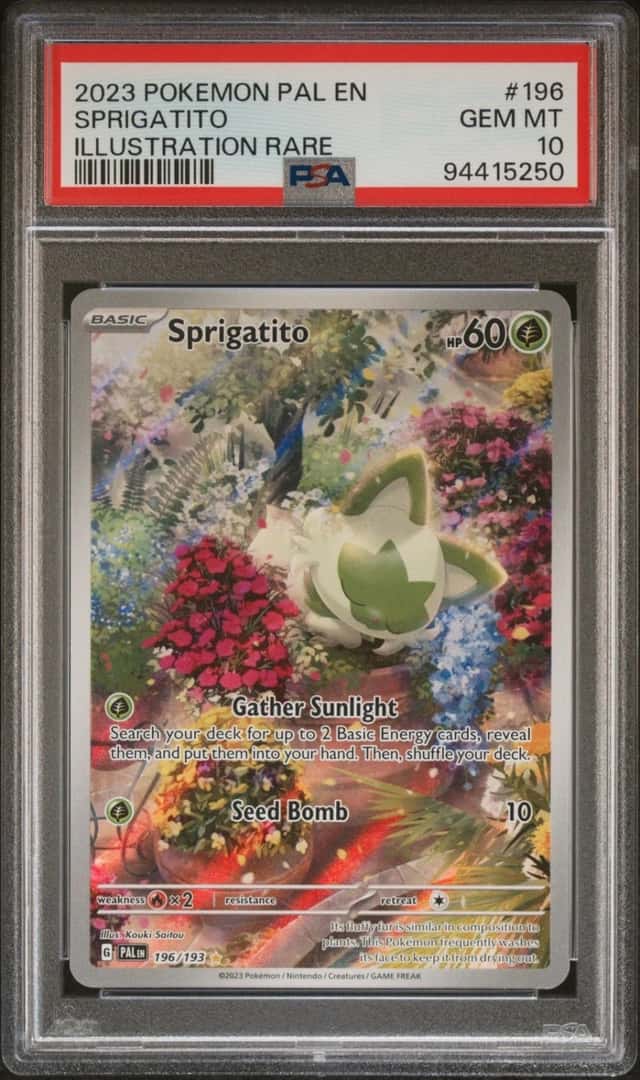 Sprigatito