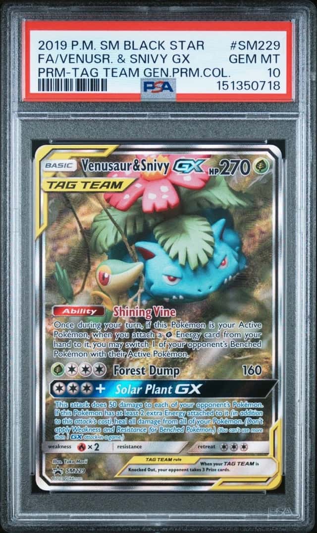 Venusaur & Snivy GX