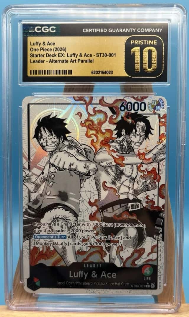 Luffy & Ace