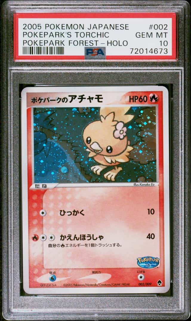 Pokepark's Torchic