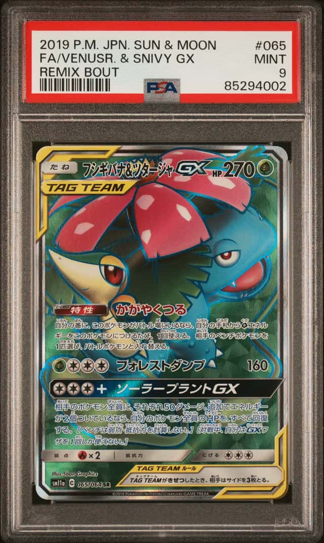 Venusaur & Snivy GX