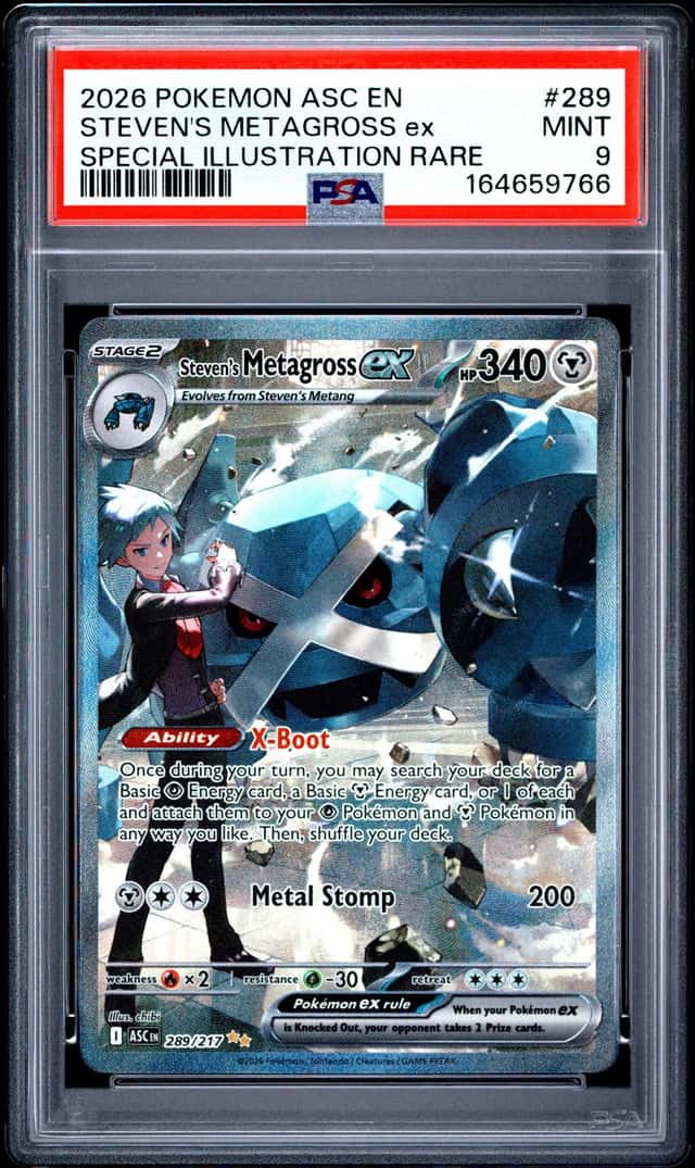 STEVEN'S METAGROSS ex