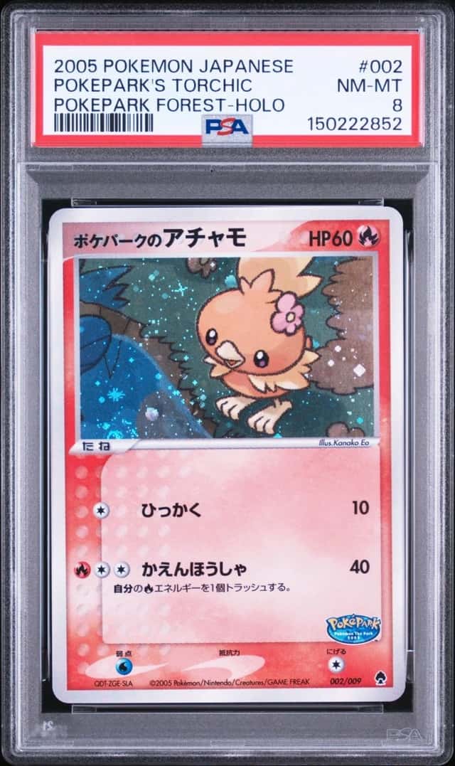 Pokepark's Torchic