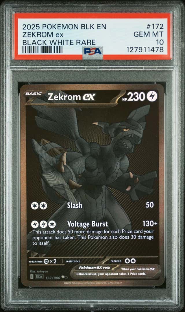 POKEMON ZEKROM ex 2025 BLACK BOLT #172 WHITE RARE PSA 10