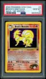 Brock'S Ninetales