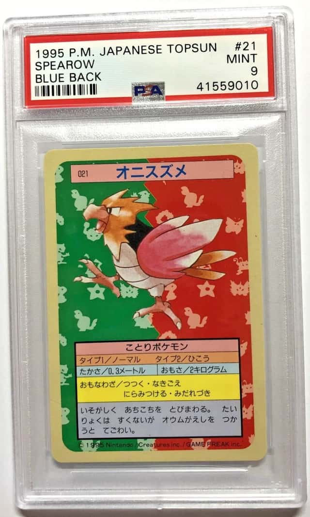 Spearow