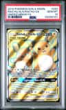 Raichu & Alolan Raichu Gx