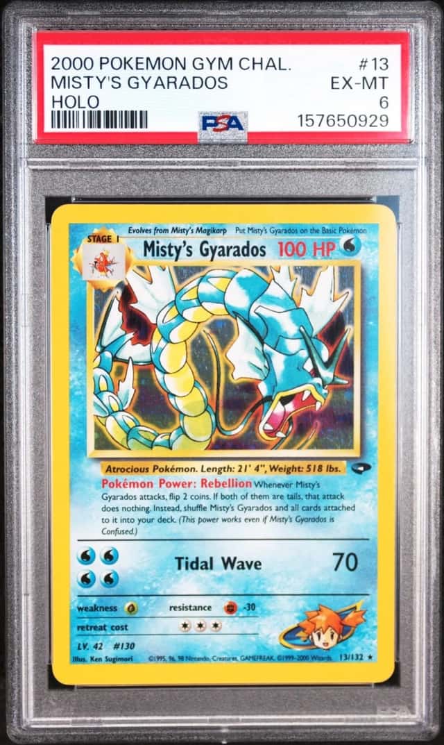 Misty's Gyarados