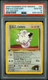 Erika'S Clefairy