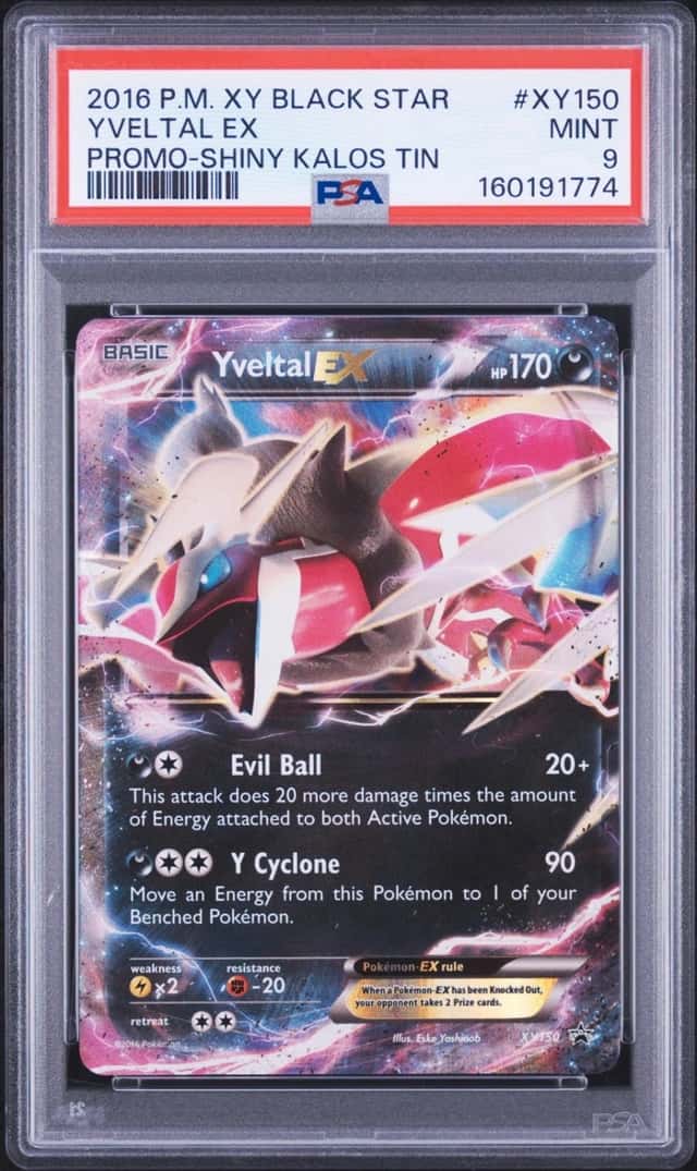 Yveltal EX