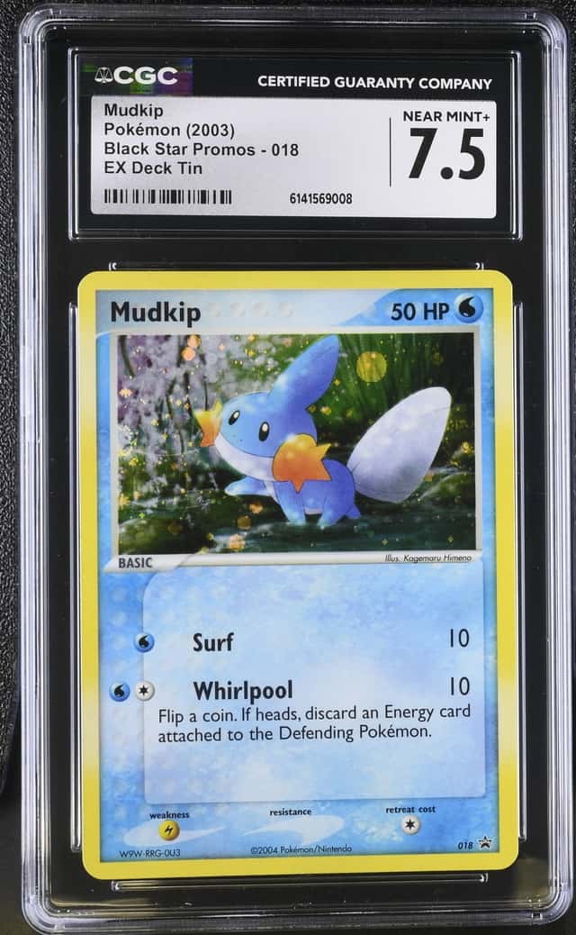 Mudkip