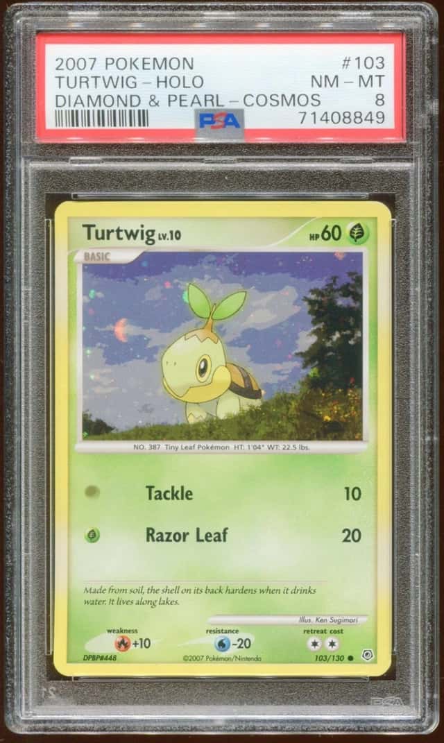 Turtwig
