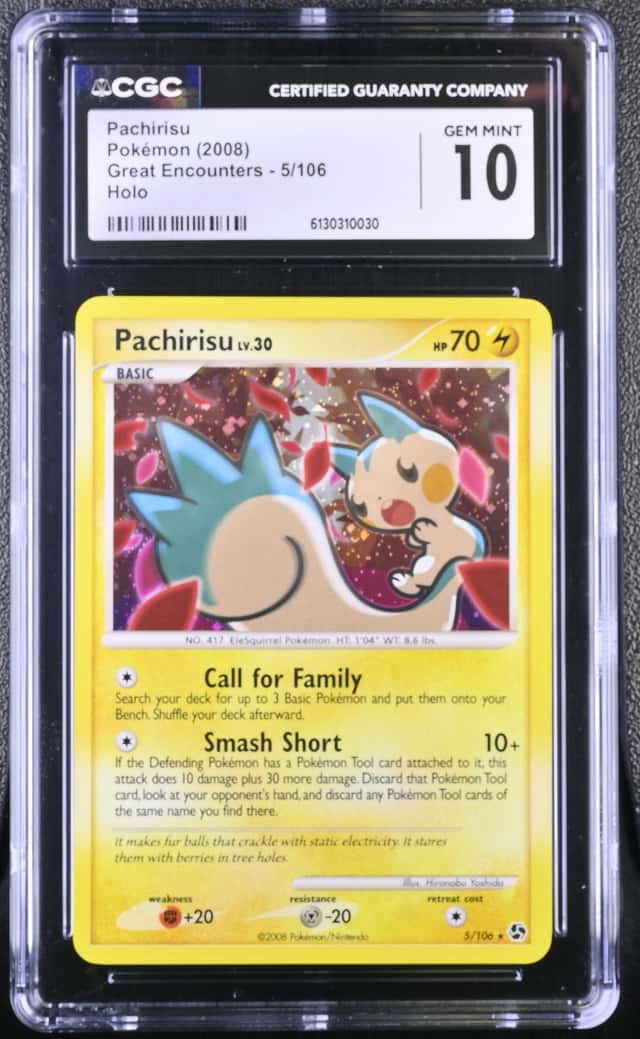 Pachirisu