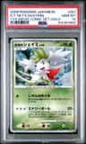 Icy Sky'S Shaymin