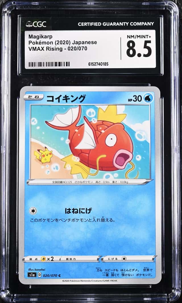 Magikarp