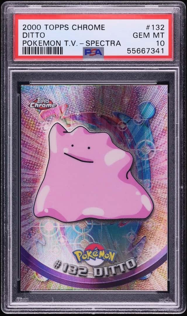 Ditto