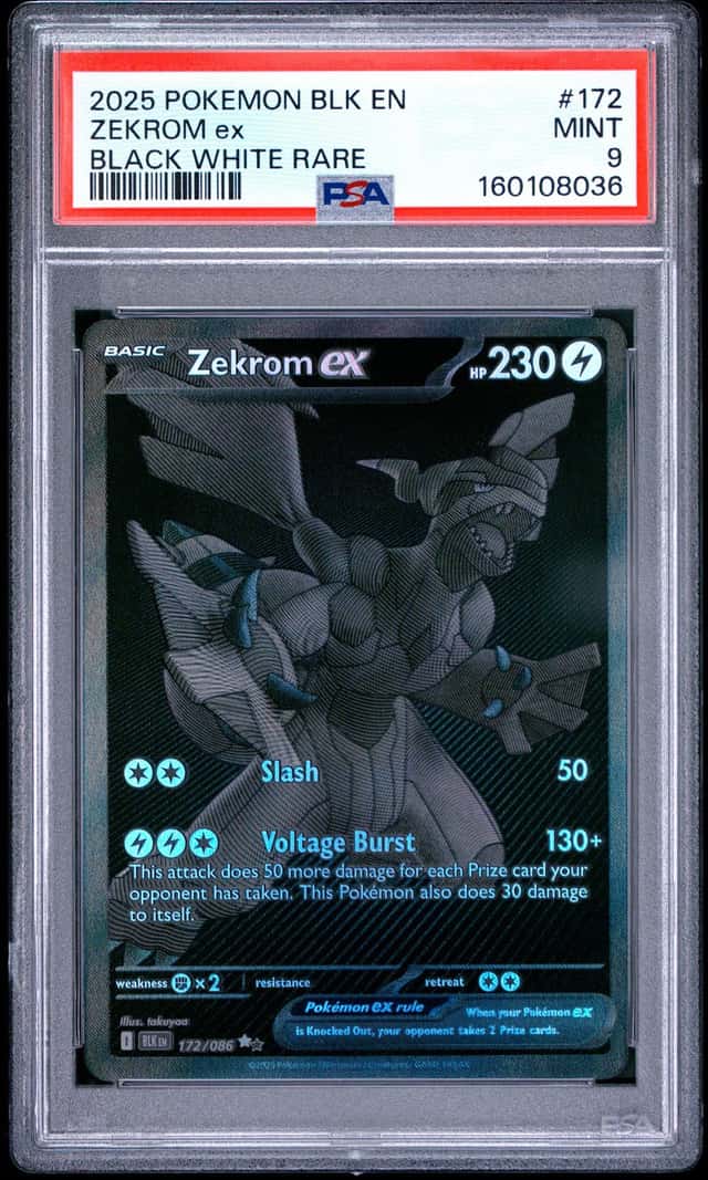 ZEKROM ex