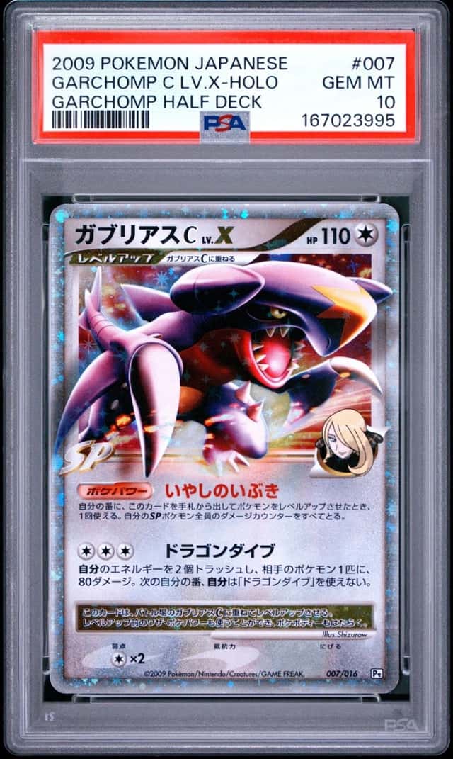 GARCHOMP C LV.X