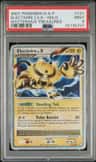 Electivire Lv.x
