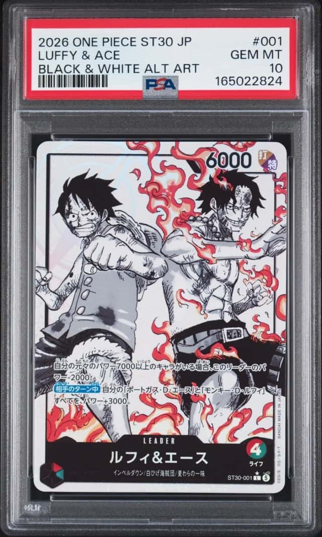 Luffy & Ace