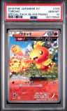 Torchic
